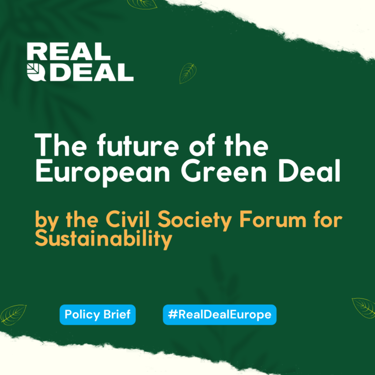 The Future of the European Green Deal
