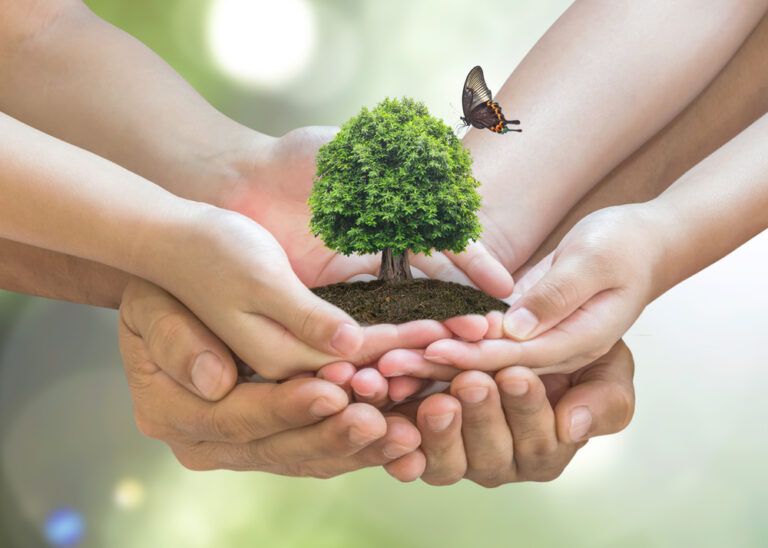Education Policy Pill: Experience SOLIDAR Foundation’s first game tracing the development of EU policy on Education for Environmental Sustainability