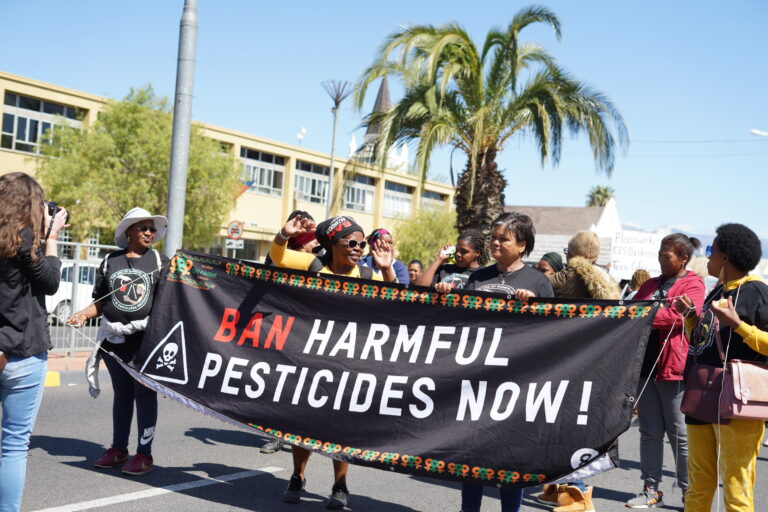Every Life Counts: SOLIDAR joins call to end EU exports of hazardous pesticides  