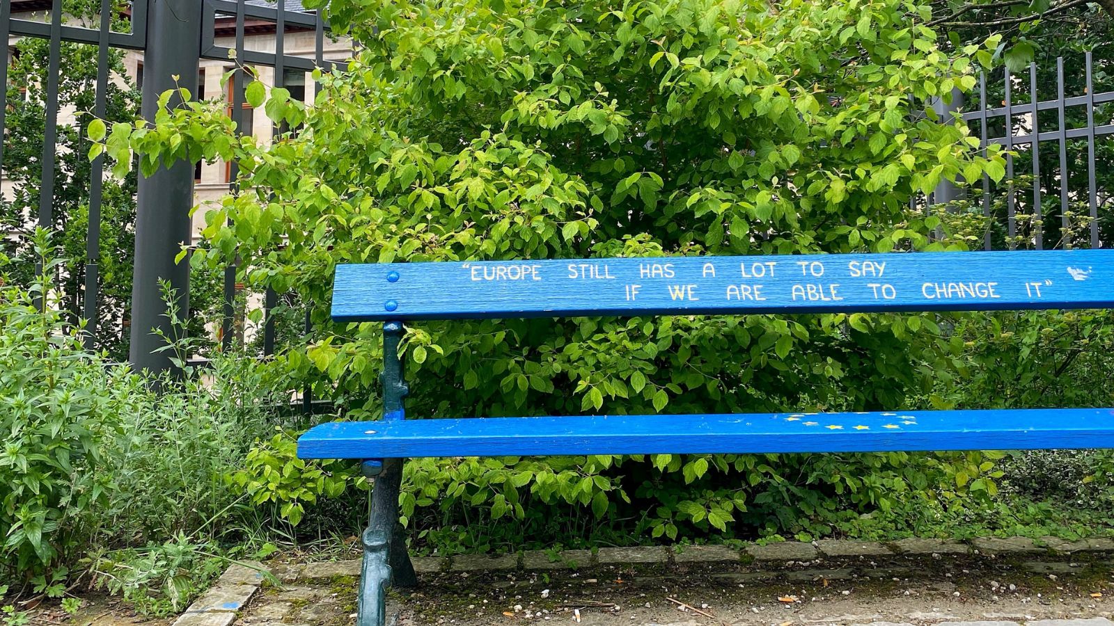 Our fight after the European Elections continues: Mobilising for a Democratic and Social Europe