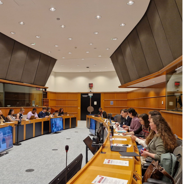 Enabling Learning Environments: The Role of Non-formal and informal learning in Building Citizenship and Basic Digital  Competences